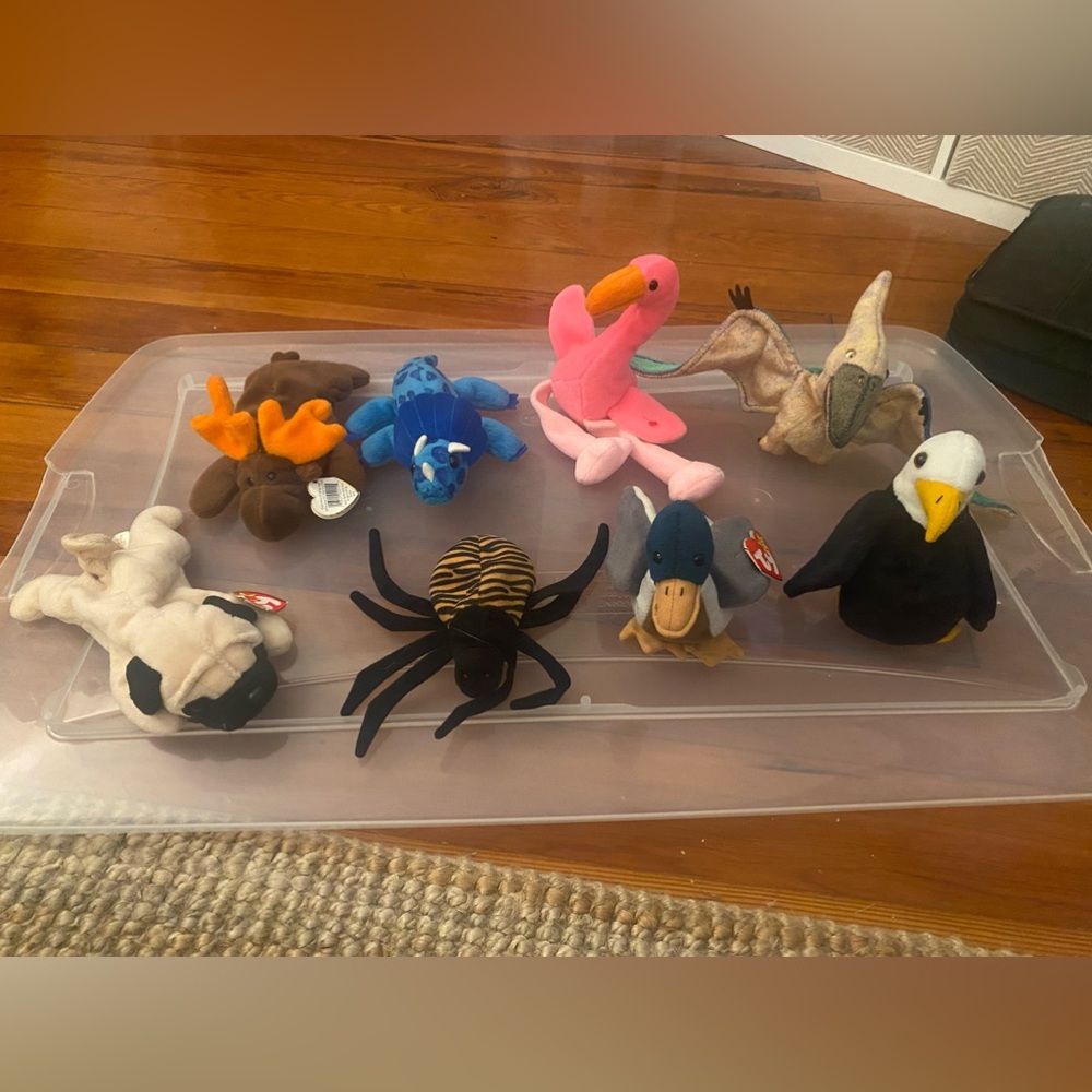 8 beanie babies (selling together)